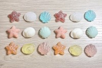 レジンを流し込んで作った、色とりどりの「貝殻チャーム」が完成しました!!（画像提供：ピヨノメさん）