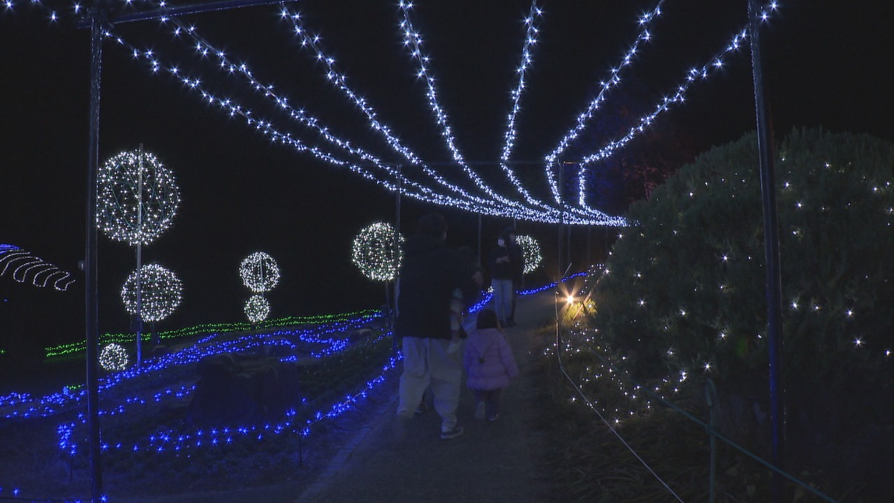 冬の夜空を彩る まんのう公園のイルミネーション 香川 いまココ ナビ Ksbニュース Ksb瀬戸内海放送