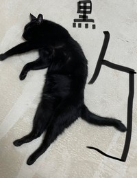 ニャンと「黒豹」の文字も！（画像提供：ティグノアさん）