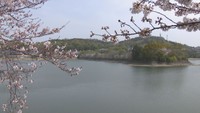 参道は龍満池の中央にある御旅所まで続く