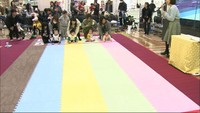 お母さんの元へ！赤ちゃんが「はいはい」の速さを競うレース 　岡山・倉敷市
