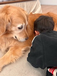 普段はこんなに優しくて穏やかな表情のきなこちゃんが…！？（提供：@kinako_3brosさん）