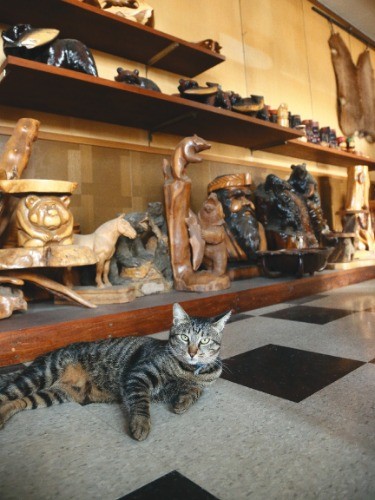 「 何か？」。店内で物体化していたトラスケがお目覚め