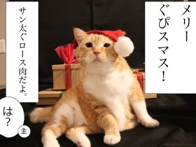 お太りさま猫ぐっぴーからクリスマスプレゼント　用意されてたはずが見当たらない！