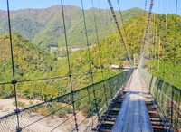 谷瀬の吊り橋※画像はイメージです（M・H/stock.adobe.com）