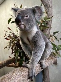 来園当初のノゾム (2)