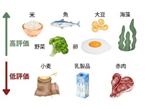 【１分でわかる】和食は地球を救う？ 健康と環境の両方に優しい日本の食文化