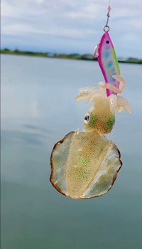 （クロエさん提供）