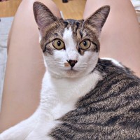 凛々しい表情がかっこいいかぢめくん（画像提供：かさねさん）