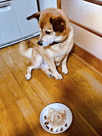 10歳のお誕生日プレート。いつもと違うご飯に戸惑うテツくん（画像提供：ゆずのなかさん）