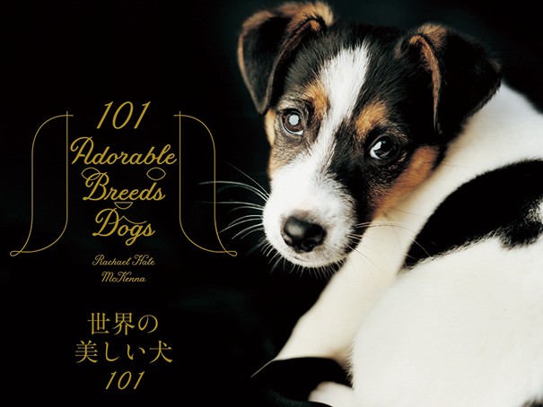 美しい写真で見る犬１０１種　ビジュアル犬図鑑