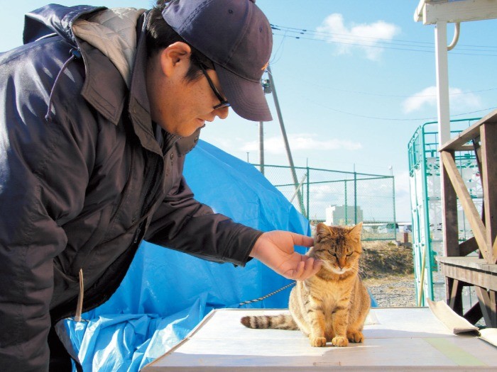 猫の毒牙にかかってしまった田中さん