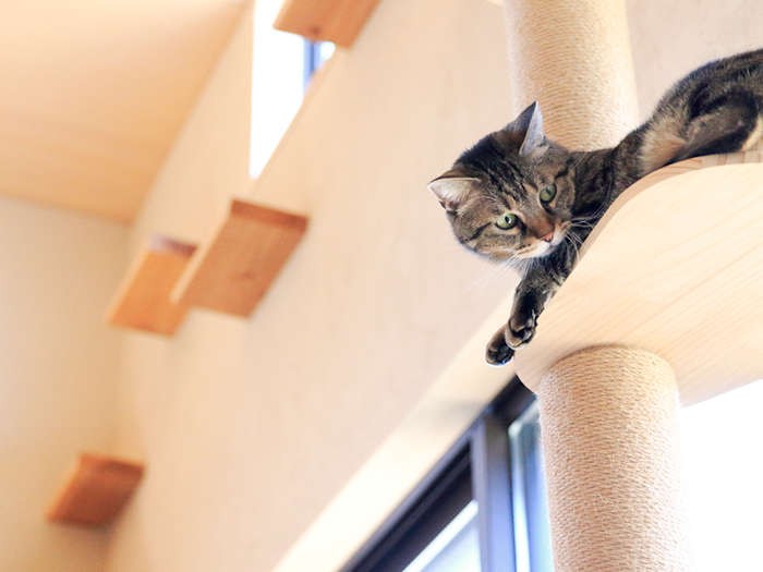 “上の住人”になった杏の視線の先には……