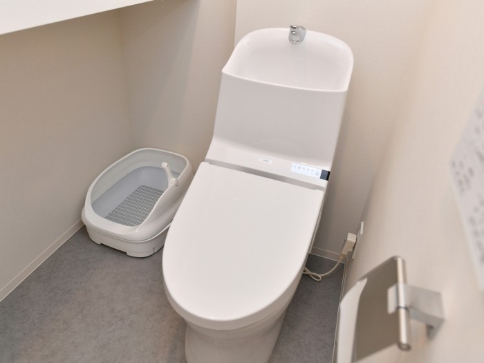 通常のマンションと比べると、水回り（トイレ・洗面など）がすごく広くつくられてるのです。飼い主さんと並んでトイレタイムもできちゃう広さ！