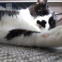 今日もいっぱい甘えるにゃ〜