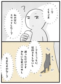 【漫画】『ネコと暮らした9日間』43（イゴカオリさん提供）