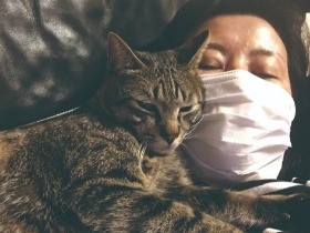 「コロコロ」は必携　猫アレルギーに負けない愛猫家たちの対策法