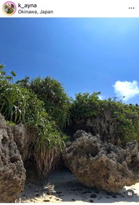 ケイナ（@k_ayna）さんのインスタグラムより