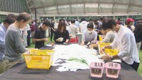開票作業　岡山・北区　27日　午後9時15分