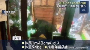 七面鳥など襲ったクマ　わなに掛かり駆除　宮城・加美町