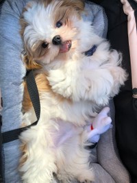 とにかく隙間が好きなの＝ぽたさん（@nejiringbow）提供