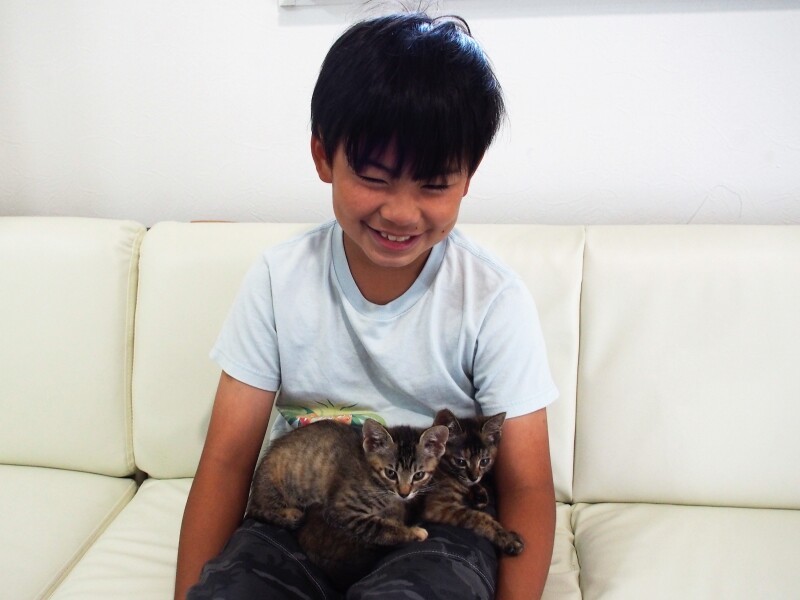 直矢くんは、サッカー少年