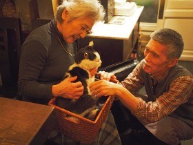 本の街の路地に生きた猫　ひっそり、愛され２５年