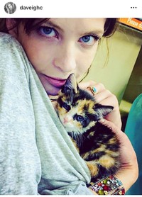 デイヴィ・チェイスさんのインスタグラム＠daveighcより