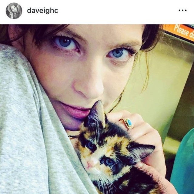 デイヴィ・チェイスさんのインスタグラム＠daveighcより