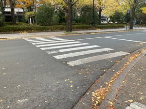「信号のない横断歩道に歩行者」車の一時停止率が改善　宮城県　かつては全国最下位