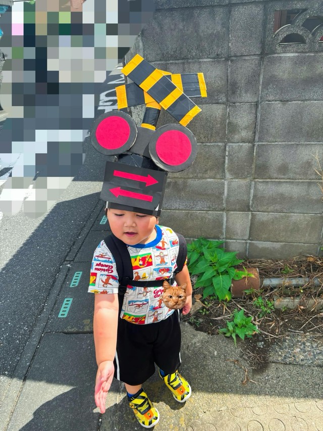 嬉しそうに踏切を実演する息子さん（提供：@ginmugi0205さん）

