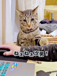 「遊んで」アピールするzozoくん（画像提供：zozoさん）