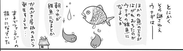 うなぎって、ファンタジーだったかな？（提供：松本ひで吉さん）