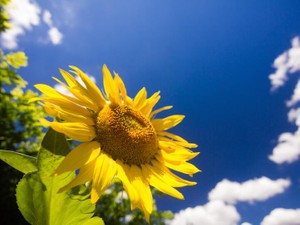 仲間が55人いる理由とは？吹奏楽は一人で頑張るものじゃない