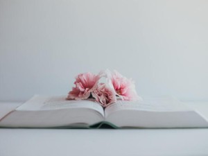 弱い私にもだれかが。嫁いだ姉が残した本で見つけた、私の座右の銘