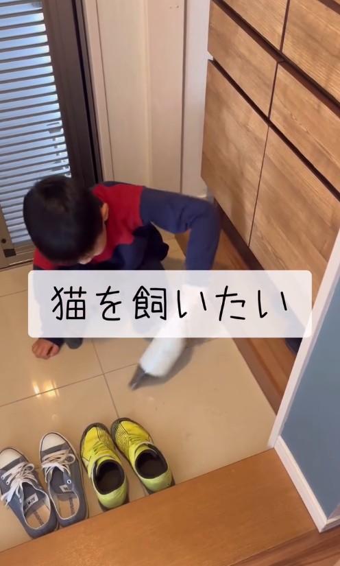 「猫を飼いたい」という一心でお手伝いを頑張るようになった息子さん／江口 めぐみさん（am_nana77）提供