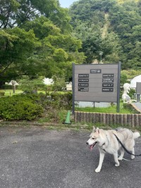 記念撮影の後の様子（提供：𝘴𝘢𝘮さん）