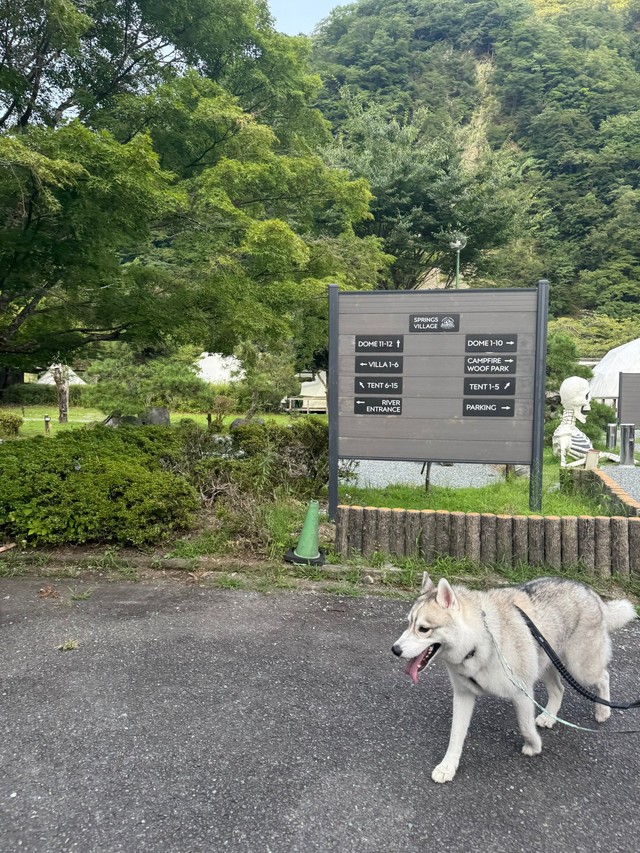 記念撮影の後の様子（提供：𝘴𝘢𝘮さん）