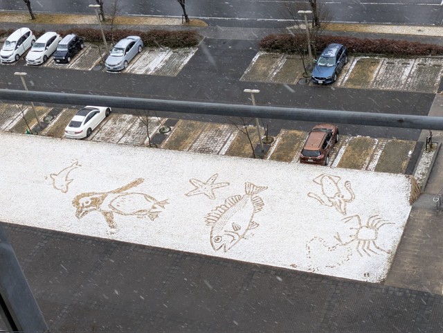 お見事…！素敵な地上絵が浮かび上がりました（東京大学大学院自然環境学専攻の公式Xより）