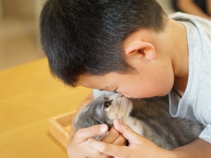 「僕はいつでも味方だよ」「こ、心強いわ―」