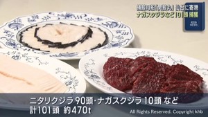 世界唯一の捕鯨母船　関鯨丸が仙台港に入港　１０１頭を捕獲