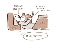 お腹の上に乗るチャイちゃんを撮影した方法はこれ。飼い主さん自ら図解！（画像提供：nekokawaii1214さん）