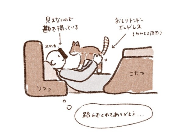 お腹の上に乗るチャイちゃんを撮影した方法はこれ。飼い主さん自ら図解！（画像提供：nekokawaii1214さん）