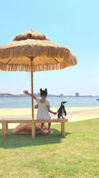 ペンギンとの触れ合うワンシーン（提供：劇団ペンターズ🐧イマイケルさん）