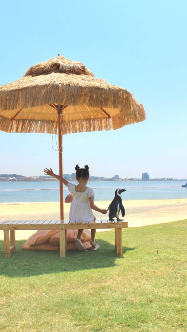 ペンギンとの触れ合うワンシーン（提供：劇団ペンターズ🐧イマイケルさん）