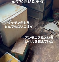 もともと70匹の猫がいたという現場。きついアンモニア臭が漂っていた（「ねころび」さん提供、Instagramよりキャプチャ撮影）