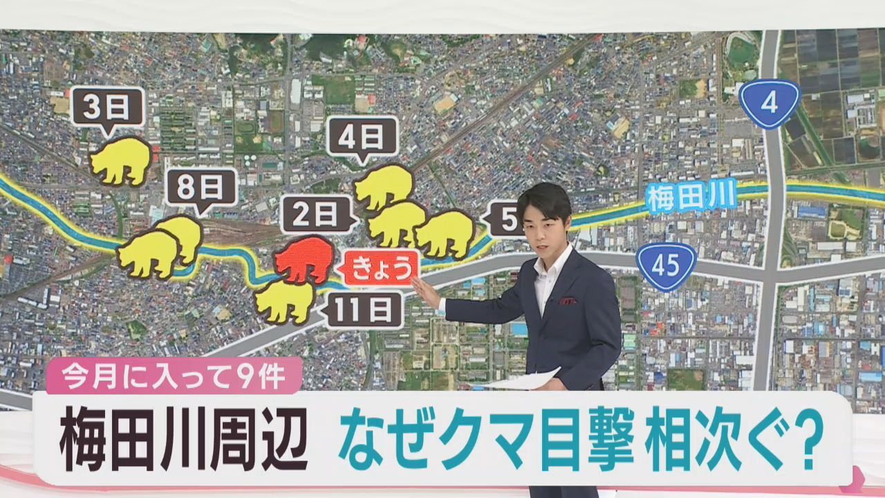 仙台・宮城野区の梅田川沿いでクマの目撃情報相次ぐ　生存競争に負け居着いたか　専門家