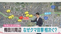 仙台・宮城野区の梅田川沿いでクマの目撃情報相次ぐ　生存競争に負け居着いたか　専門家