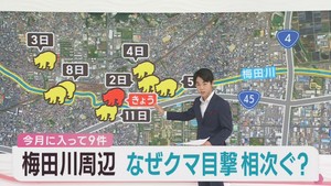 仙台・宮城野区の梅田川沿いでクマの目撃情報相次ぐ　生存競争に負け居着いたか　専門家