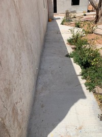 気温が上がってきて、それぞれお気に入りの涼しい場所へ猫ちゃんたちは移動（提供写真）